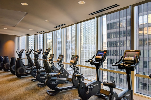 exercise room with a wall of windows and carpet flooring