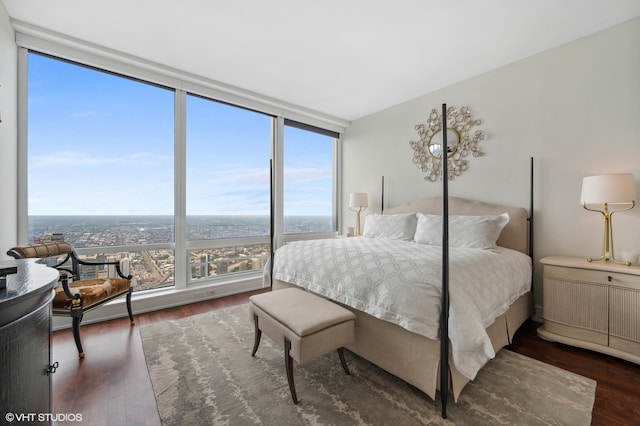 bedroom featuring dark wood-type flooring