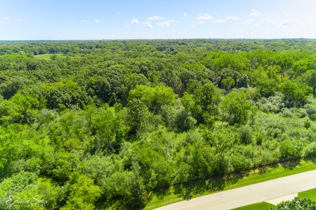 view of bird's eye view