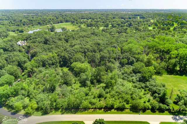 view of bird's eye view