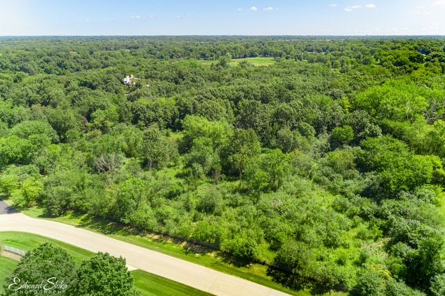 view of bird's eye view