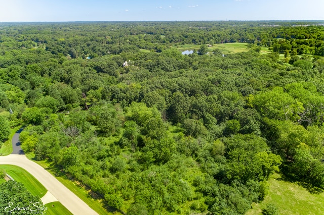 view of bird's eye view