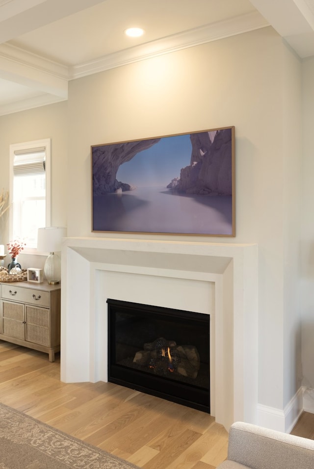 details with ornamental molding and light hardwood / wood-style floors