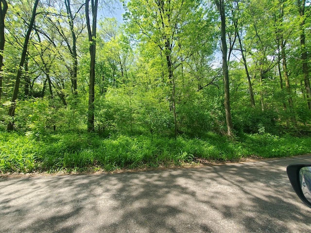 39080 N Jackson Dr, Spring Grove IL, 60081 land for sale