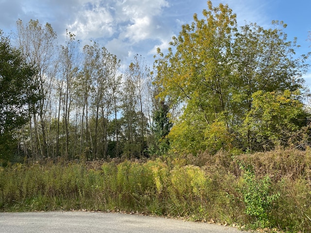 6202 Balsam Ct, Long Grove IL, 60047 land for sale