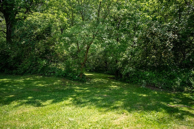 view of yard with a forest view