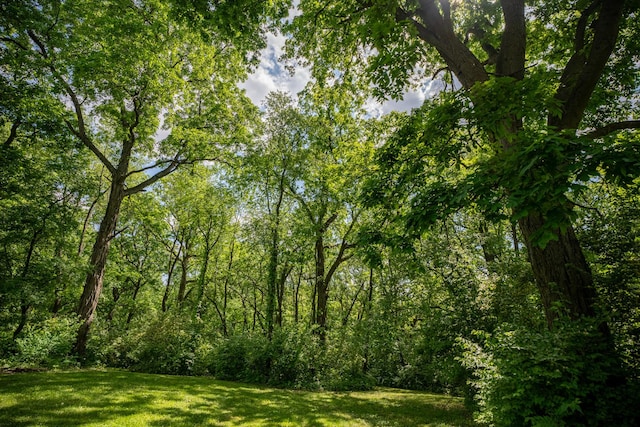 view of nature with a forest view