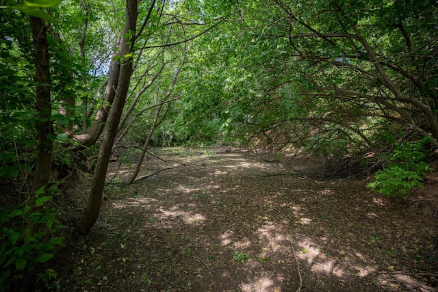 view of local wilderness with a wooded view