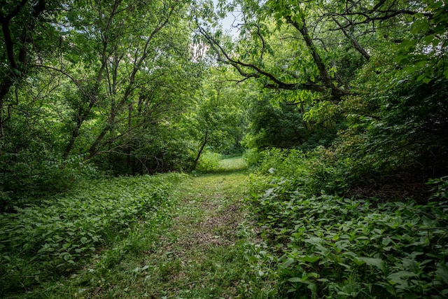 view of landscape with a wooded view