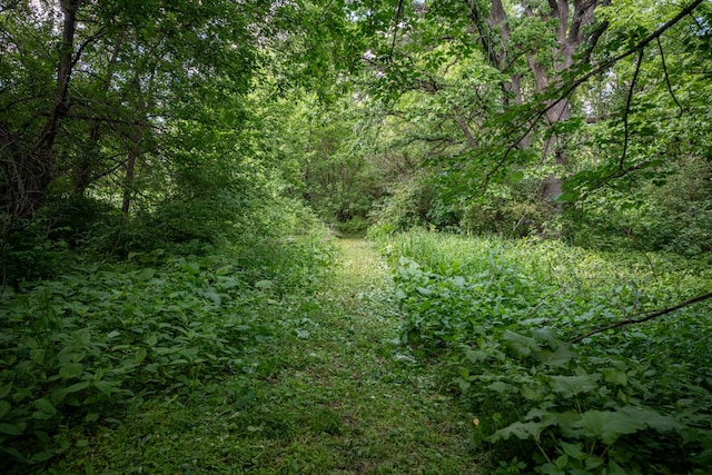 view of nature featuring a forest view