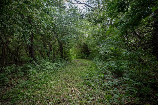 view of nature with a forest view