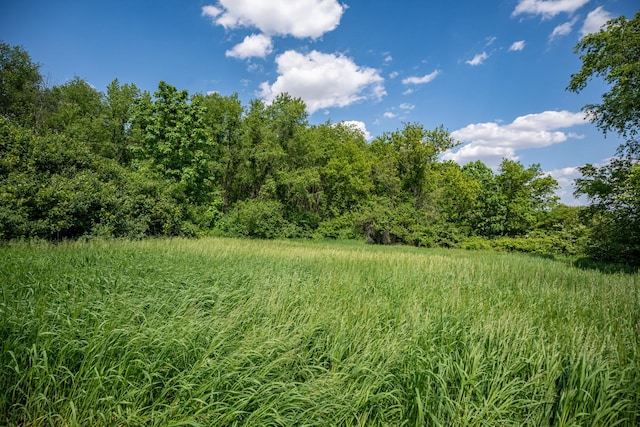 view of landscape