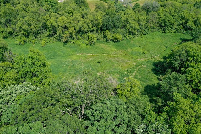 bird's eye view featuring a forest view