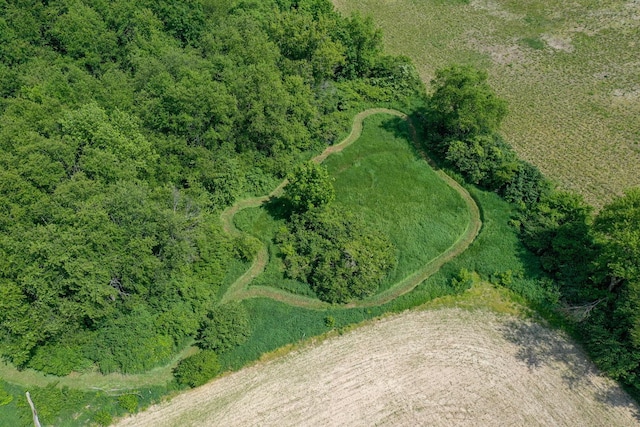 bird's eye view