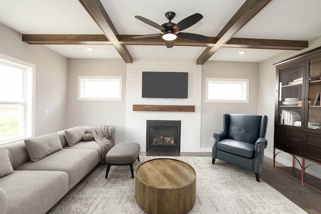 living room featuring beam ceiling, hardwood / wood-style flooring, a large fireplace, and ceiling fan