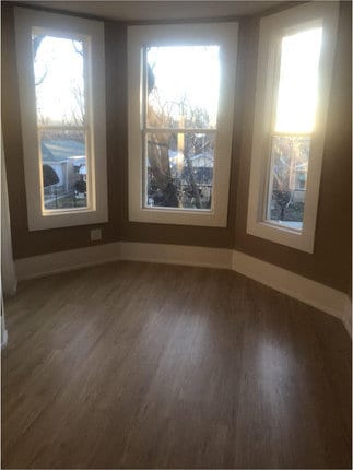 unfurnished room featuring plenty of natural light and dark hardwood / wood-style floors