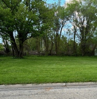 000 1st Ave, Rochelle IL, 60168 land for sale