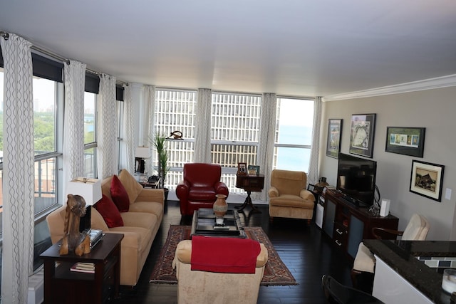 living room with ornamental molding and dark wood-type flooring