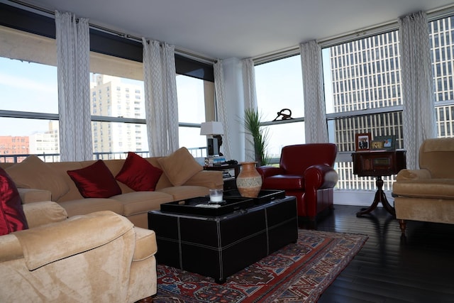 living room featuring dark hardwood / wood-style flooring