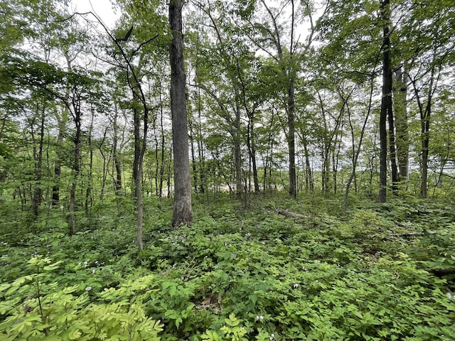 view of nature featuring a wooded view