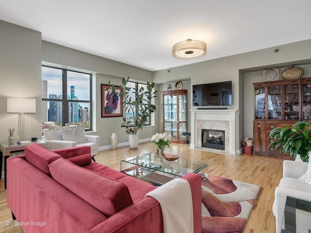 living room featuring a fireplace and light hardwood / wood-style floors