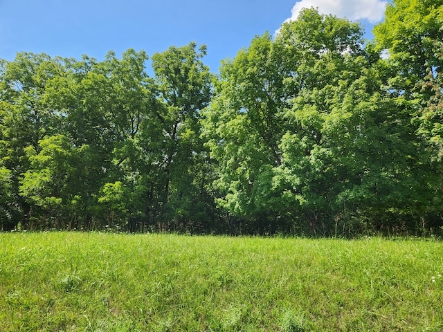 LOT1073 Greenvalley Ct, Varna IL, 61375 land for sale