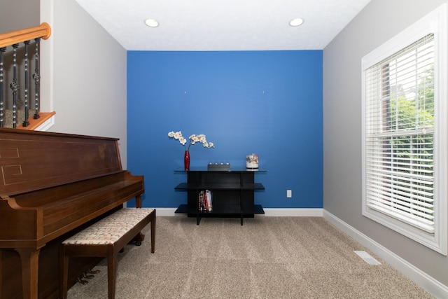 miscellaneous room featuring carpet floors