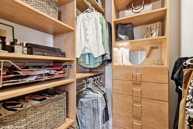 1646 W Augusta Blvd Unit 1, Chicago, IL 60622 - view of walk in closet