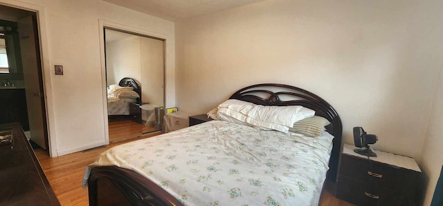 bedroom featuring wood-type flooring and a closet