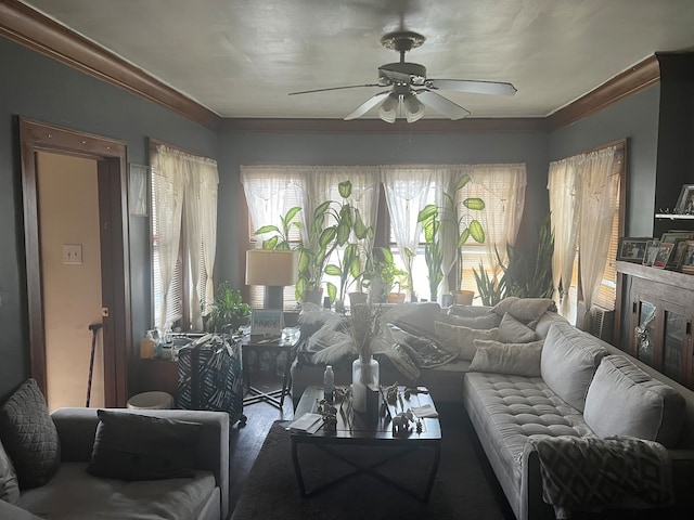 living room featuring ceiling fan and hardwood / wood-style floors