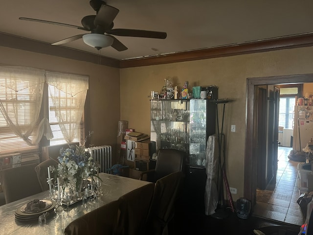 tiled dining area featuring crown molding, radiator, and ceiling fan