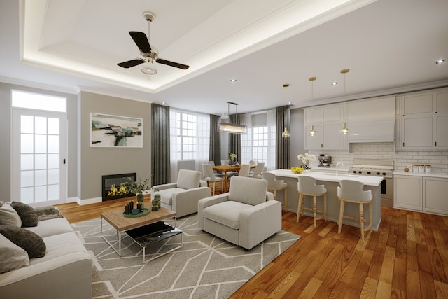 living room with ceiling fan, a raised ceiling, light hardwood / wood-style floors, and sink