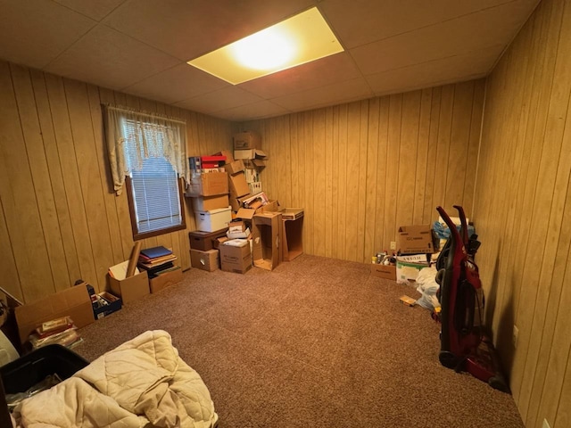 04N732 Old Lafox Rd, Saint Charles, IL 60175 - game room featuring carpet, wooden walls, and a drop ceiling