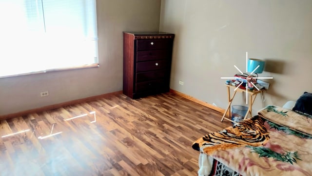 interior space featuring hardwood / wood-style floors