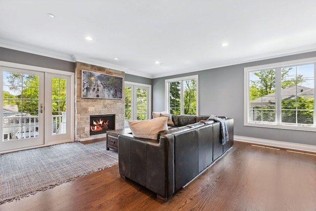 living room featuring plenty of natural light, dark hardwood / wood-style flooring, and a fireplace