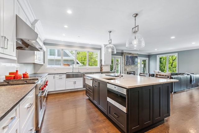 kitchen featuring wall chimney range hood, a wealth of natural light, wood-type flooring, and stainless steel appliances