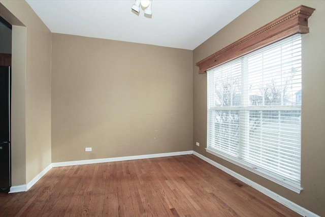 empty room with hardwood / wood-style floors