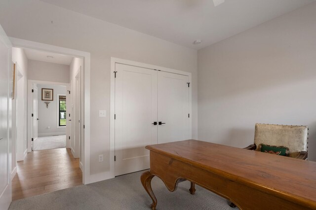 office space featuring wood-type flooring