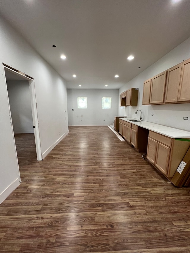 kitchen featuring sink and dark hardwood / wood-style flooring