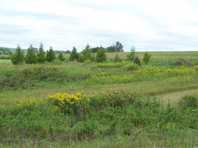 TBD E Morseville Rd, Stockton IL, 61085 land for sale