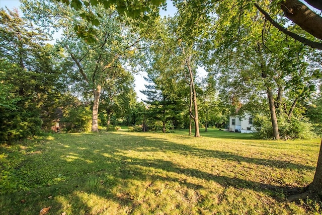 Listing photo 3 for 223 N Elm St, Itasca IL 60143