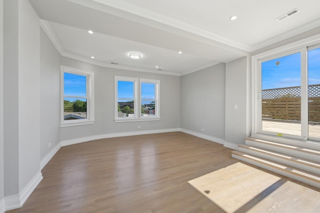 unfurnished room with a wealth of natural light, light hardwood / wood-style flooring, and ornamental molding