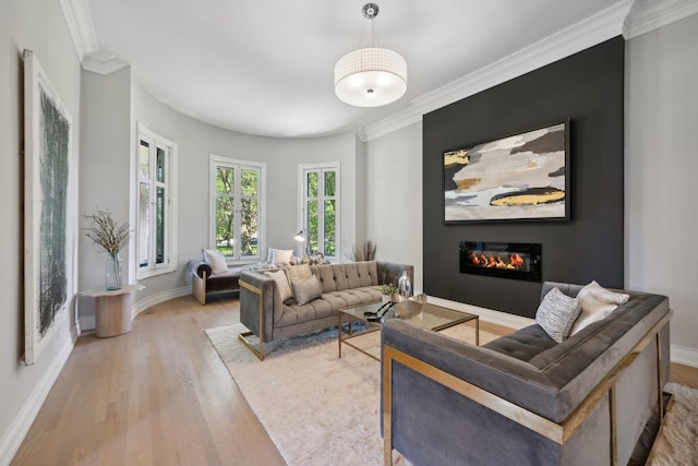 living room featuring light hardwood / wood-style flooring and crown molding