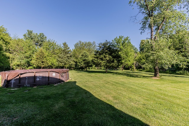 view of yard featuring a swimming pool