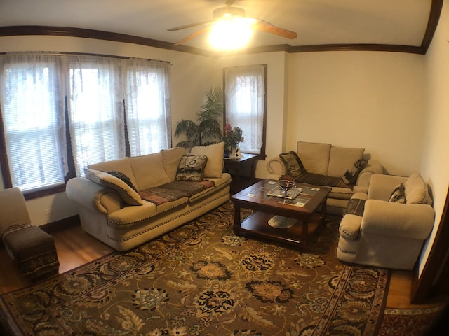 living room with ceiling fan, crown molding, and wood-type flooring