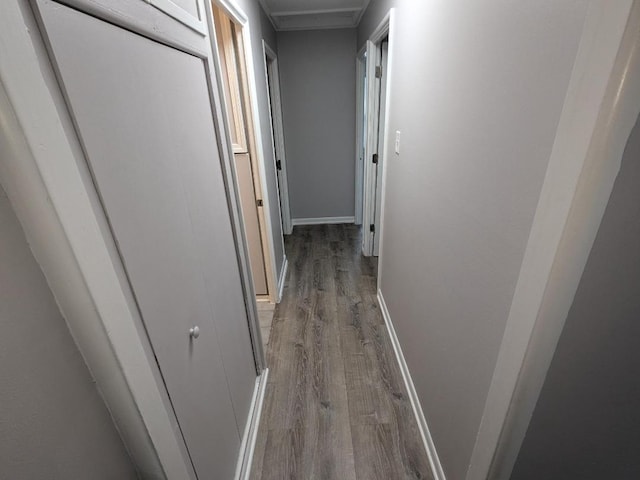 hallway featuring hardwood / wood-style flooring