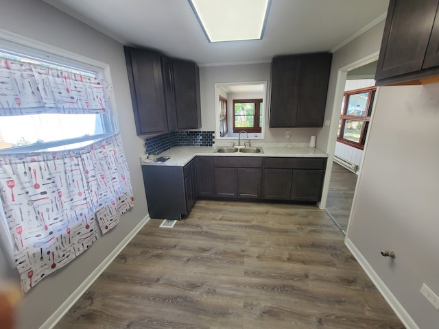 kitchen featuring dark brown cabinets, sink, and a wealth of natural light