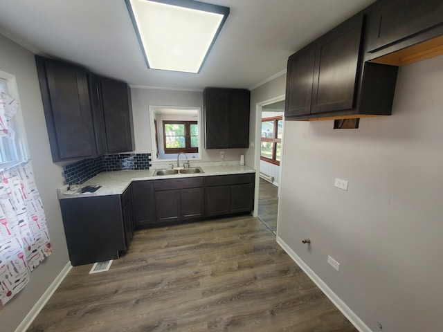 kitchen with crown molding, sink, tasteful backsplash, dark brown cabinets, and wood-type flooring