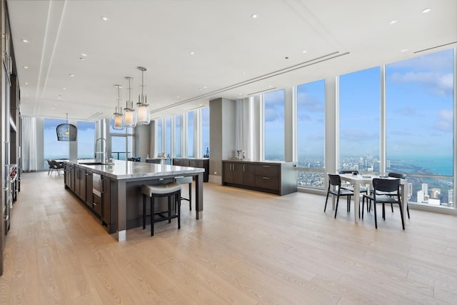 kitchen with dark brown cabinets, light wood-type flooring, floor to ceiling windows, and a large island