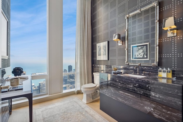 bathroom featuring a water view, toilet, vanity, and hardwood / wood-style flooring